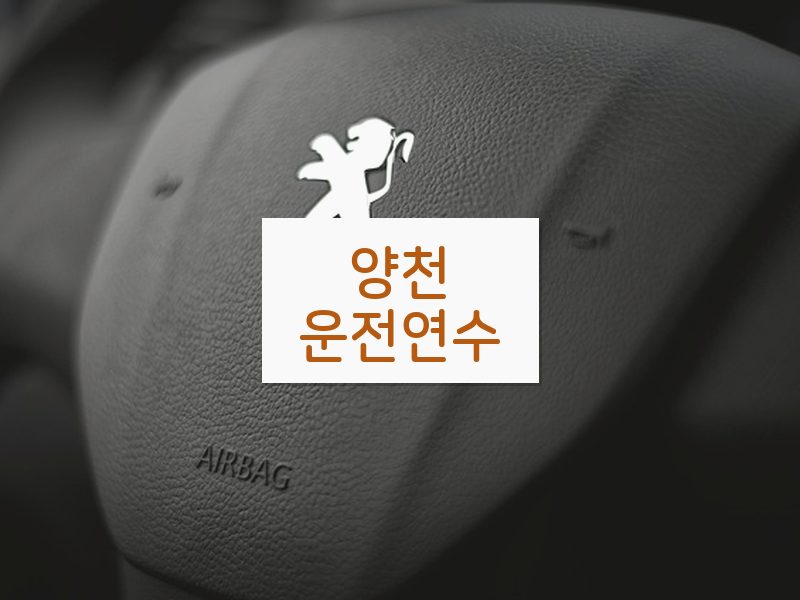 양천운전연수 후기