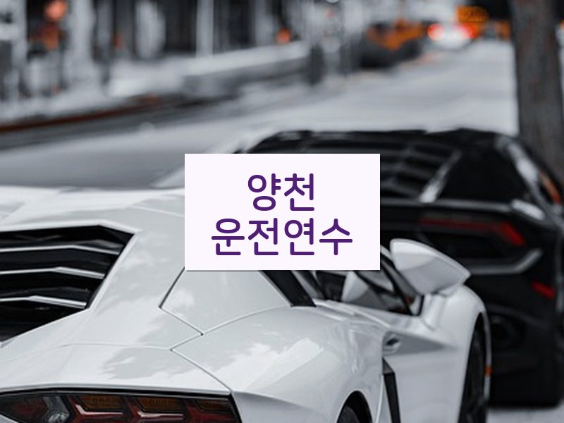양천운전연수 후기