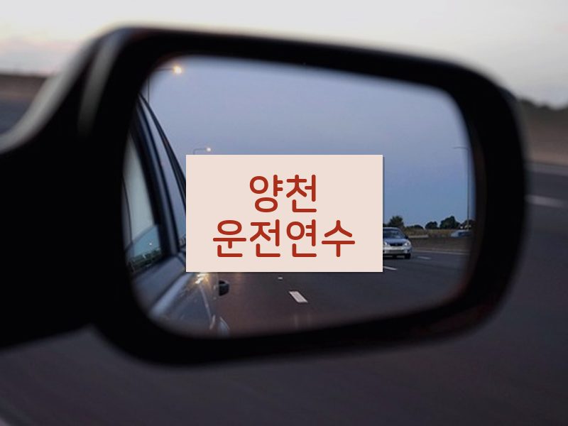 양천운전연수 후기