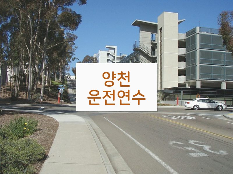 양천운전연수 후기