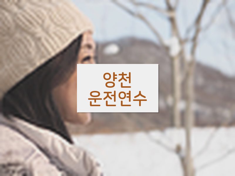 양천운전연수 후기