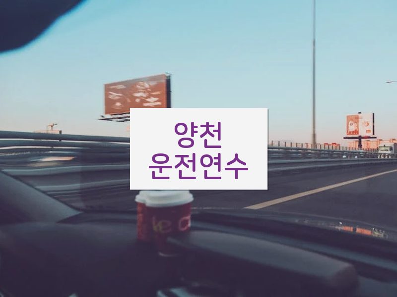 양천운전연수 후기