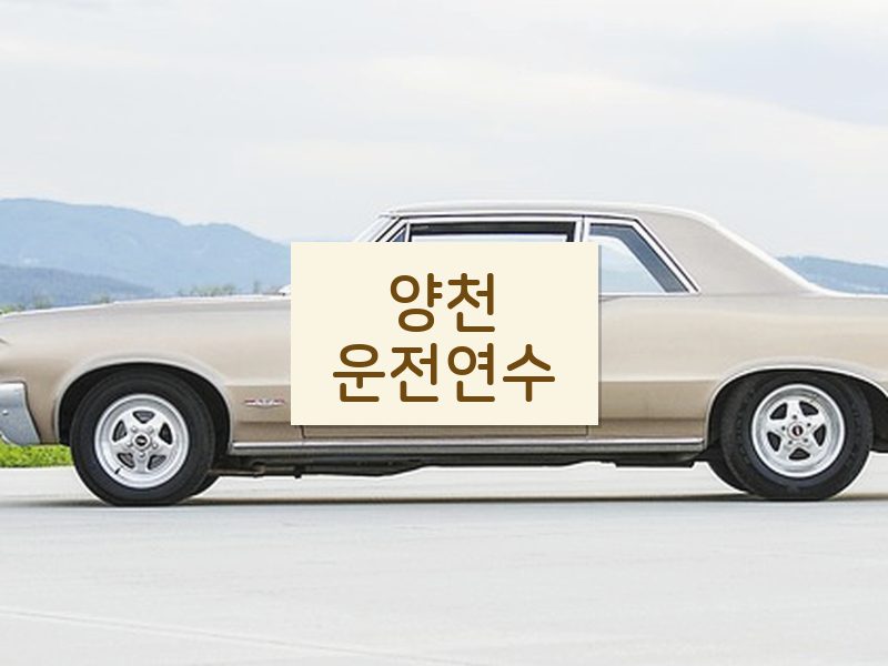 양천운전연수 후기