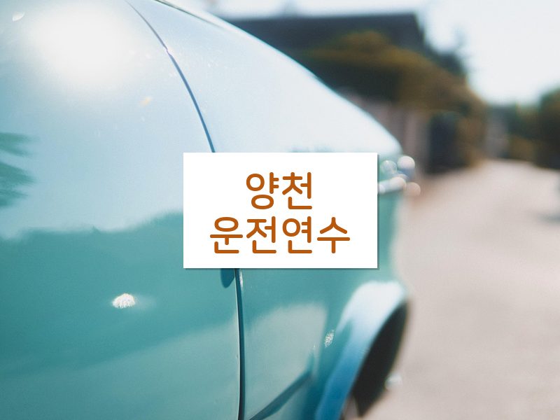 양천운전연수 후기