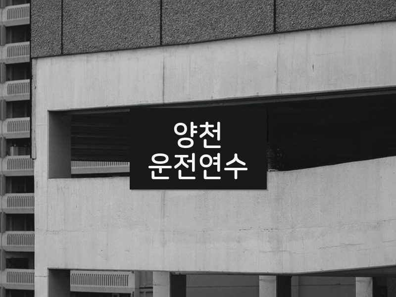 양천운전연수 후기