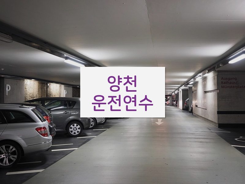 양천운전연수 후기