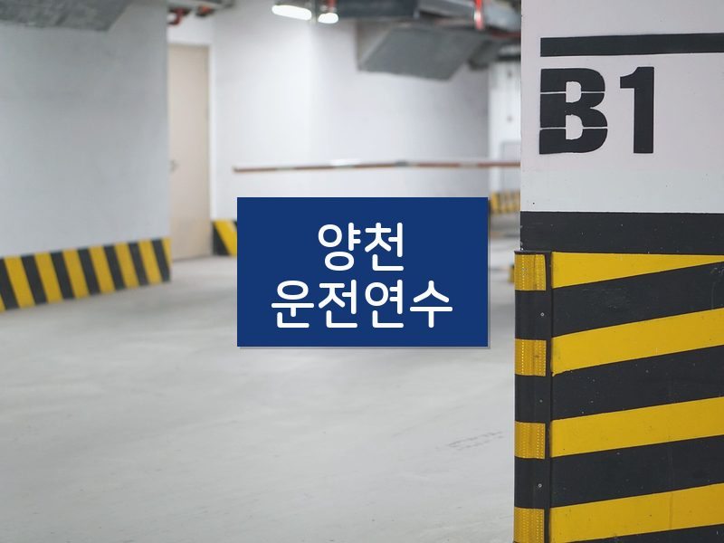 양천운전연수 후기