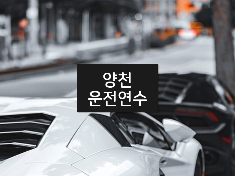 양천운전연수 후기