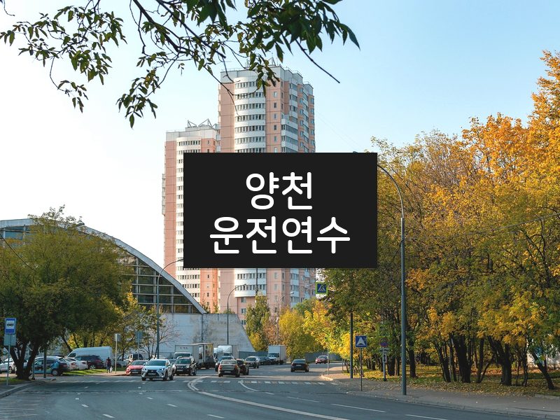 양천운전연수 후기
