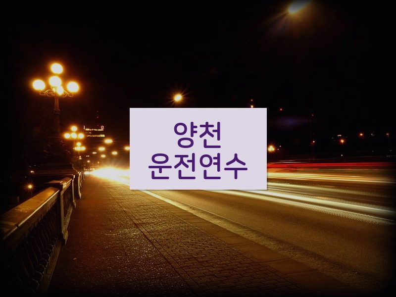 양천운전연수 후기