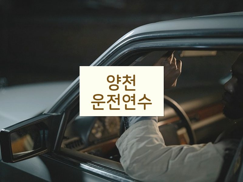양천운전연수 후기