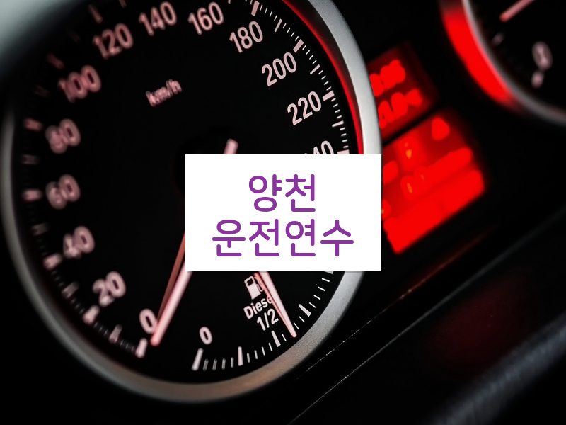 양천운전연수 후기