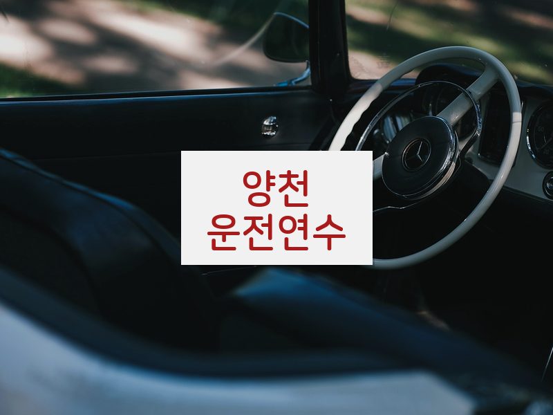 양천운전연수 후기