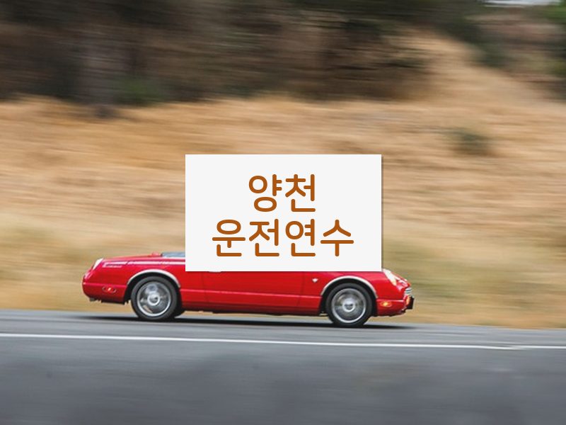 양천운전연수 후기