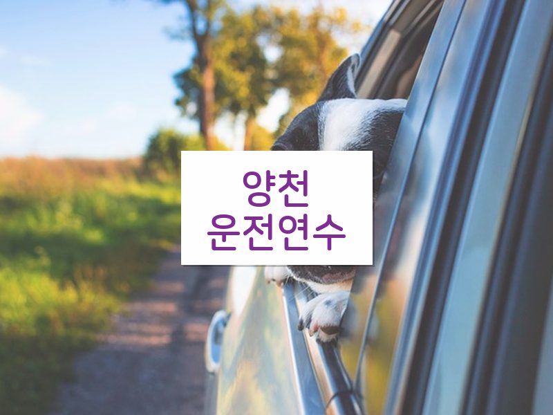 양천운전연수 후기