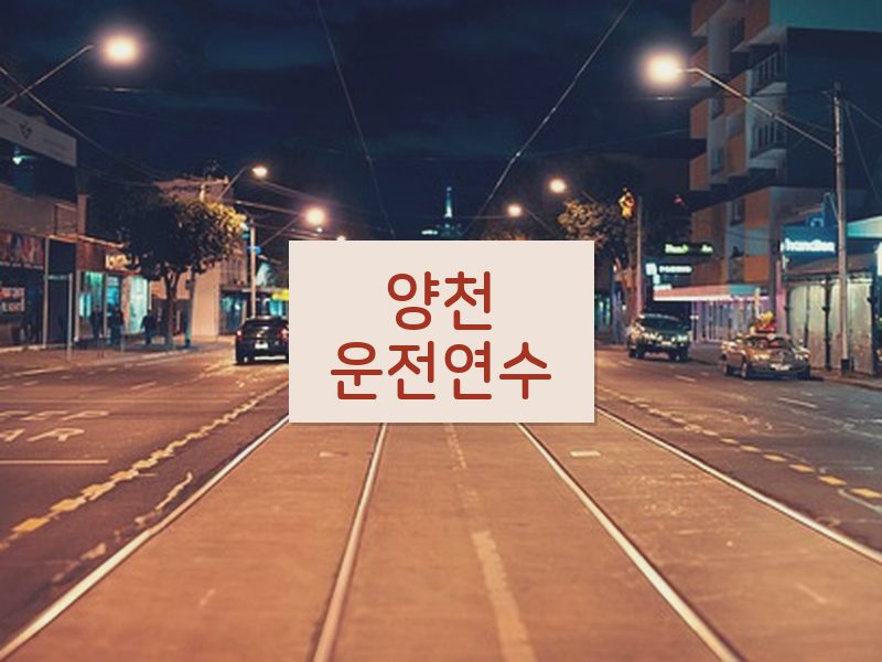 양천운전연수 후기