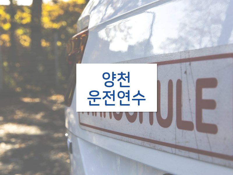 양천운전연수 후기