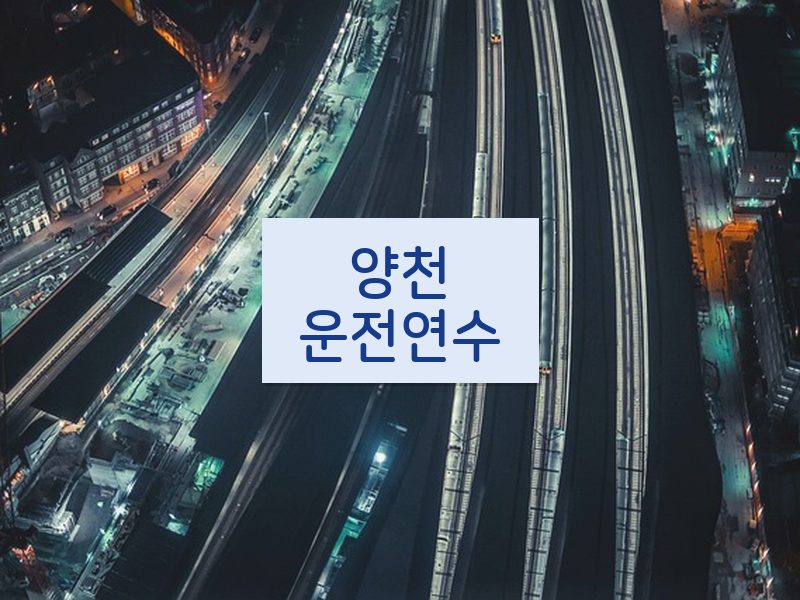 양천운전연수 후기