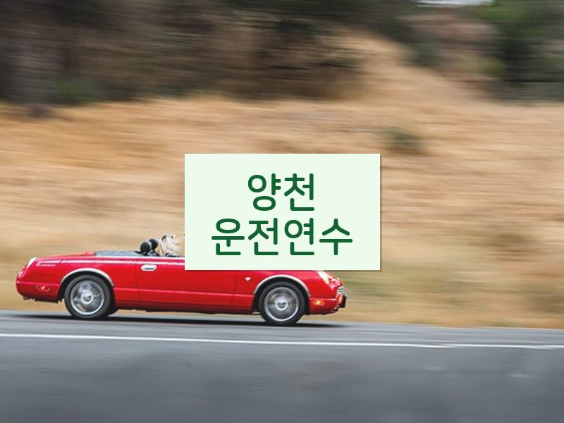 양천운전연수 후기