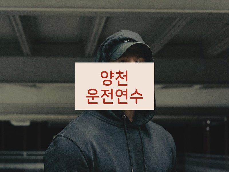 양천운전연수 후기