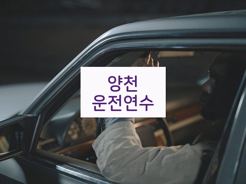 양천운전연수 후기