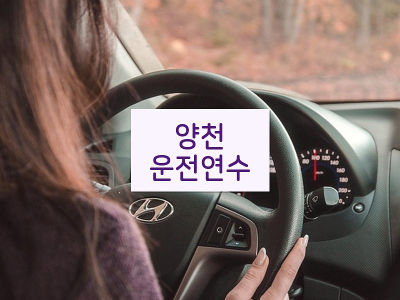 양천운전연수 후기