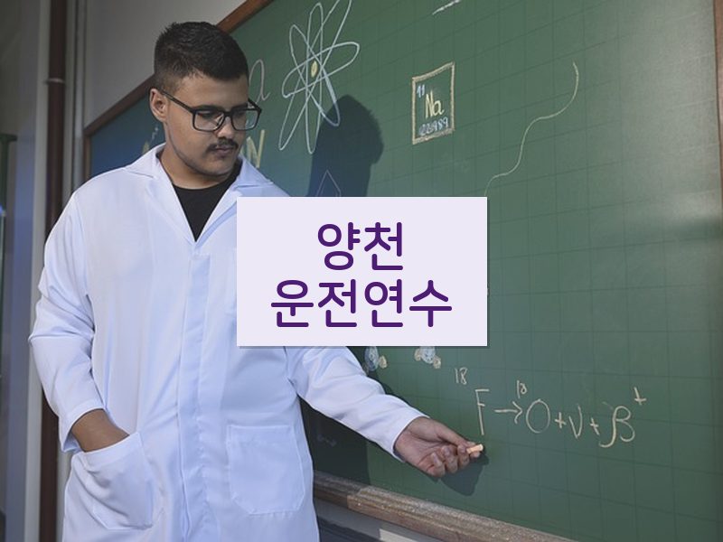양천운전연수 후기