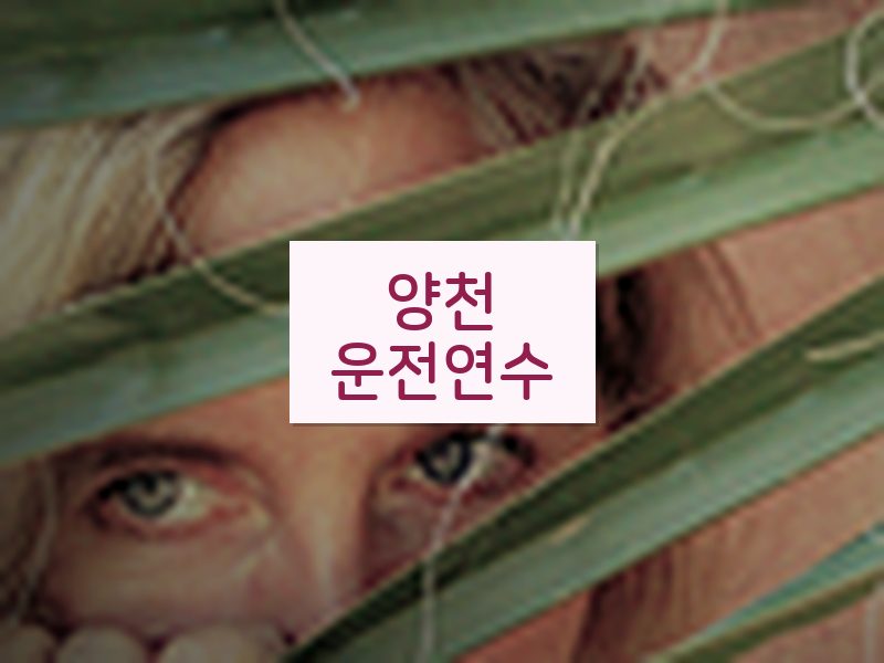 양천운전연수 후기