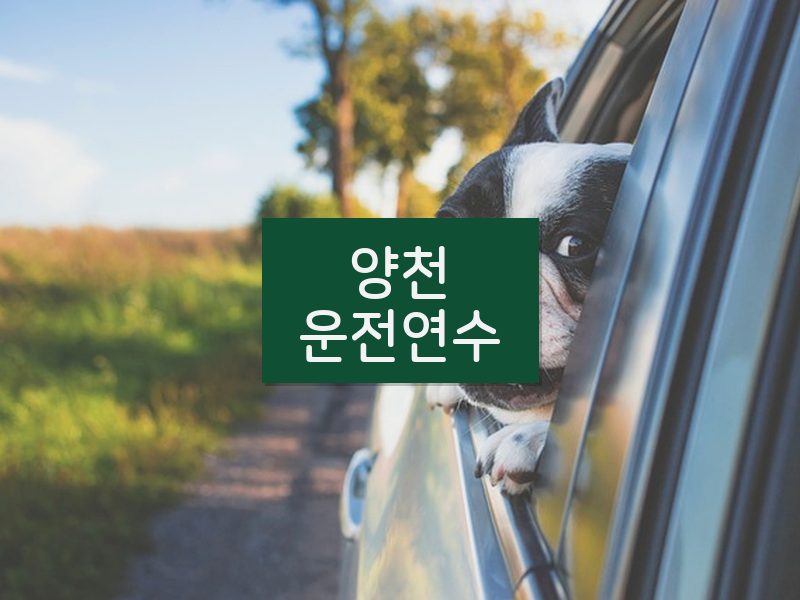 양천운전연수 후기