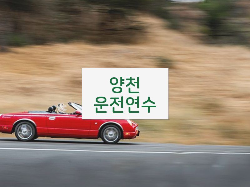 양천운전연수 후기