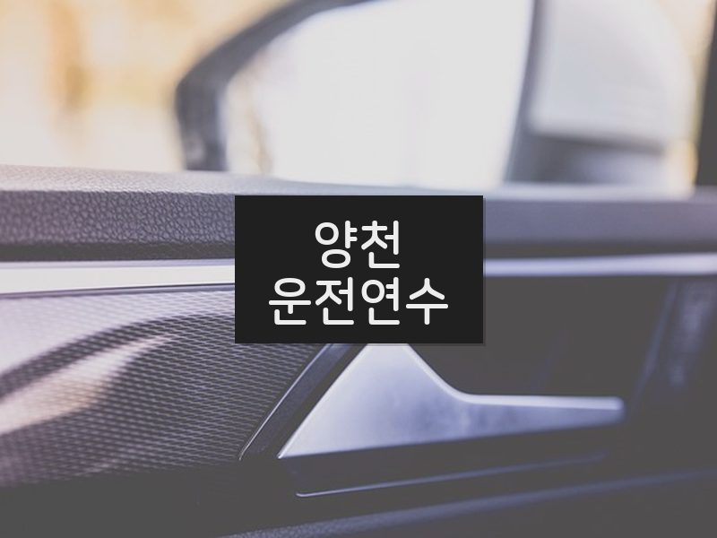 양천운전연수 후기