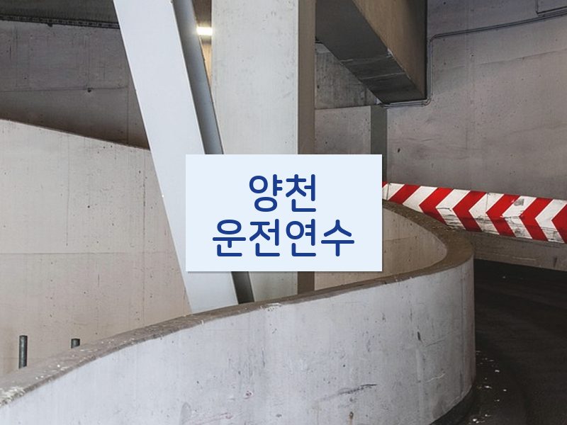 양천운전연수 후기