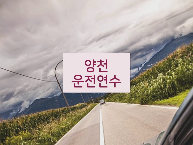 양천운전연수 후기