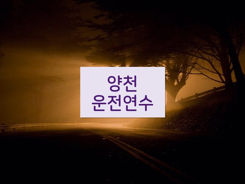 양천운전연수 후기