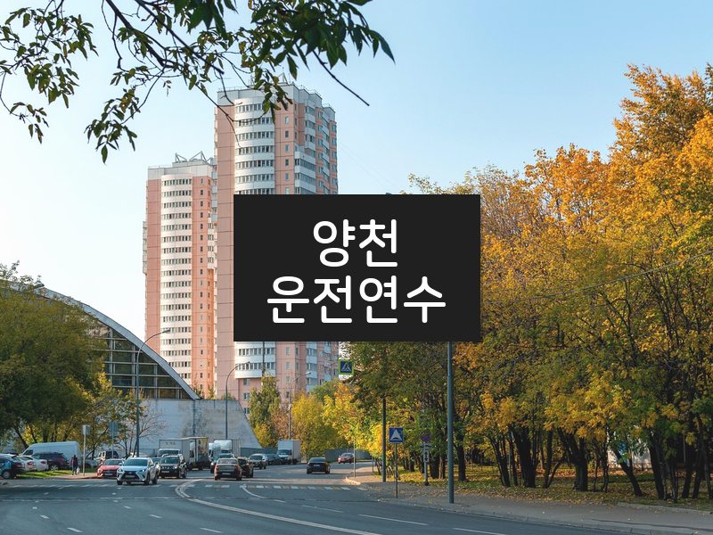 양천운전연수 후기