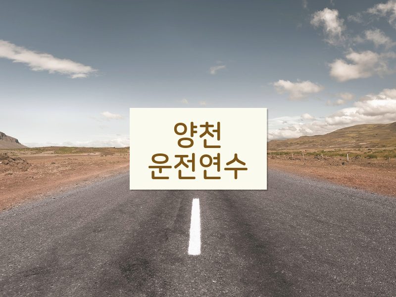 양천운전연수 후기
