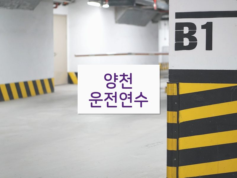 양천운전연수 후기