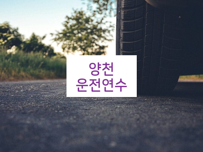 양천운전연수 후기