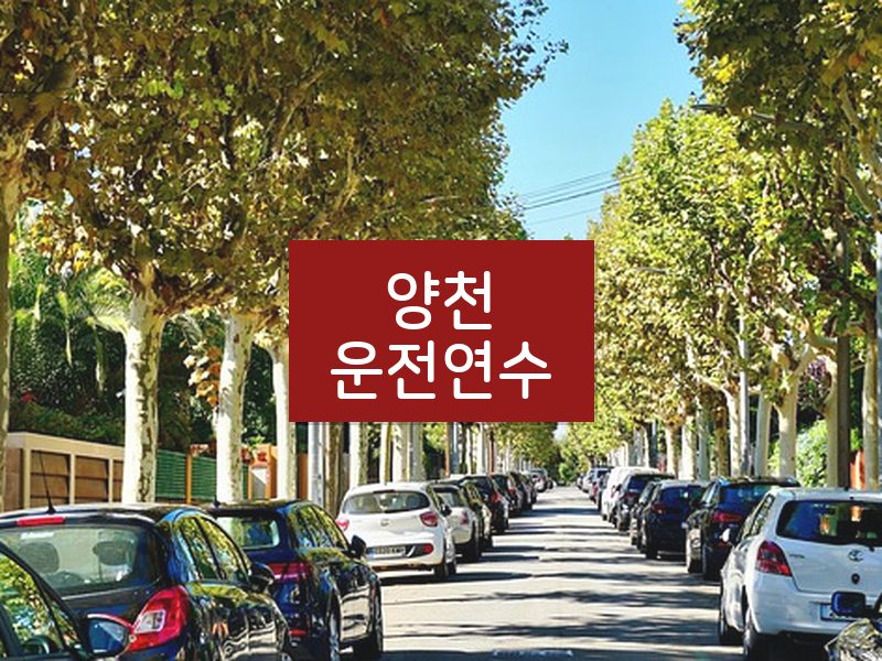 양천운전연수 후기