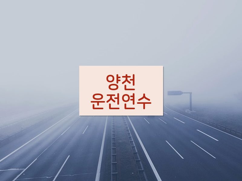 양천운전연수 후기