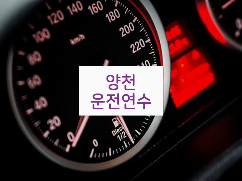 양천운전연수 후기