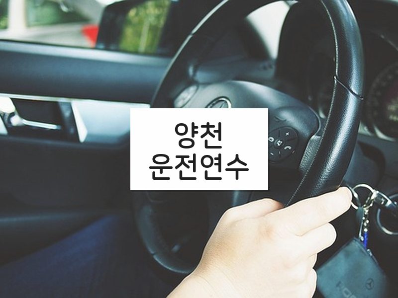 양천운전연수 후기