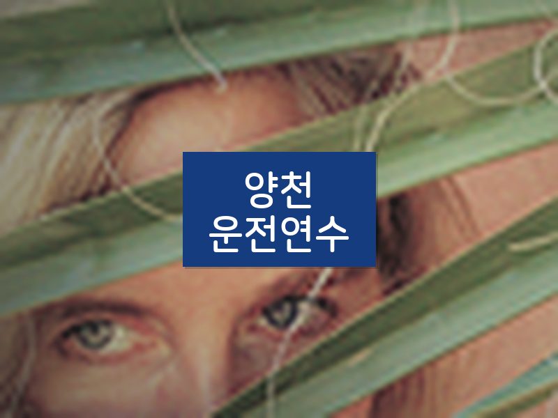 양천운전연수 후기