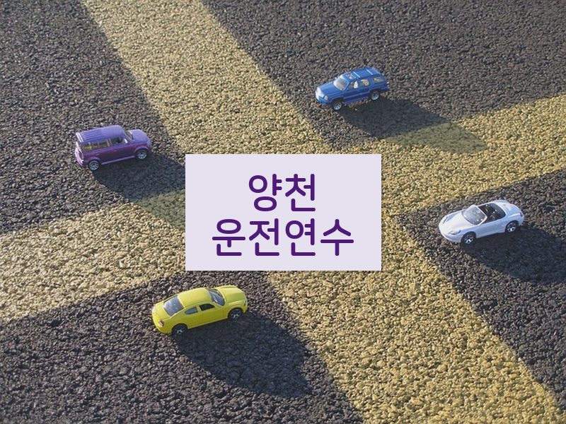양천운전연수 후기