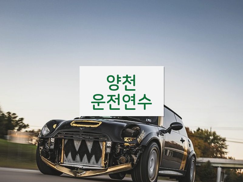 양천운전연수 후기