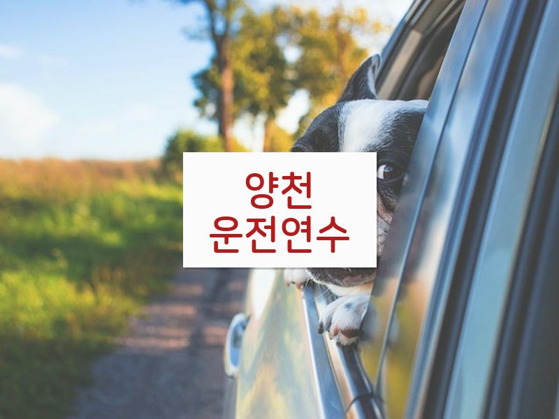 양천운전연수 후기