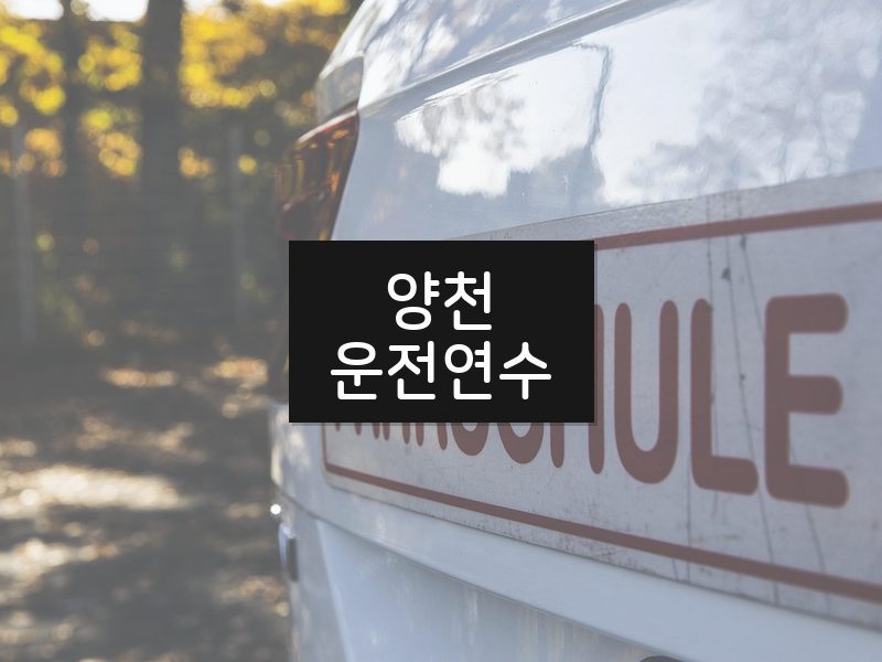 양천운전연수 후기