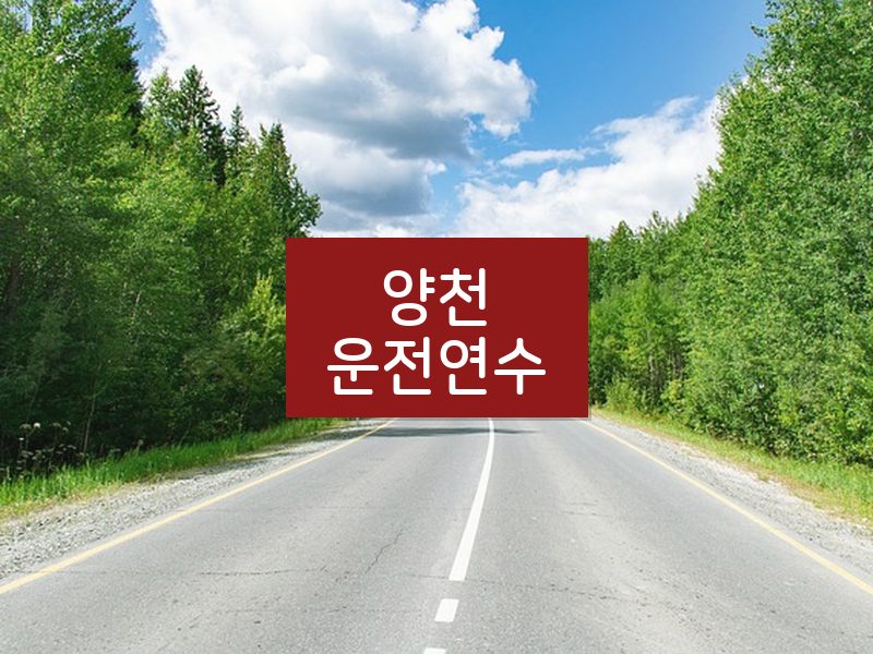 양천운전연수 후기