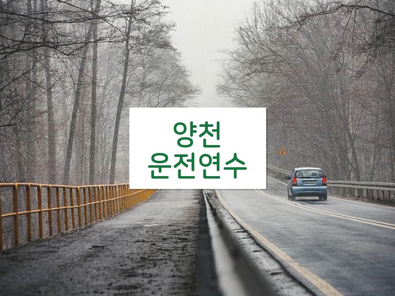 양천운전연수 후기