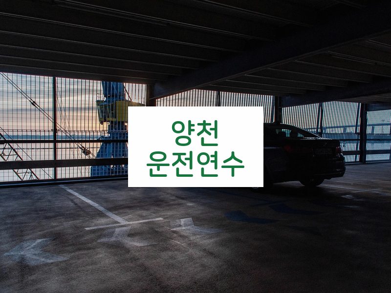 양천운전연수 후기
